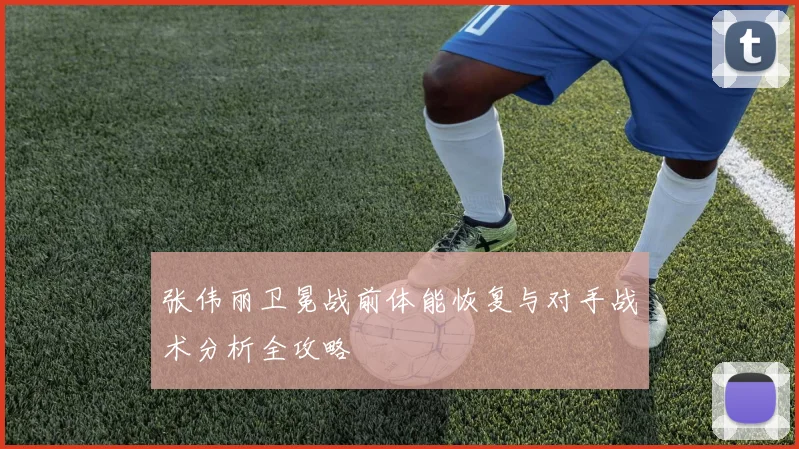 张伟丽卫冕战前体能恢复与对手战术分析全攻略